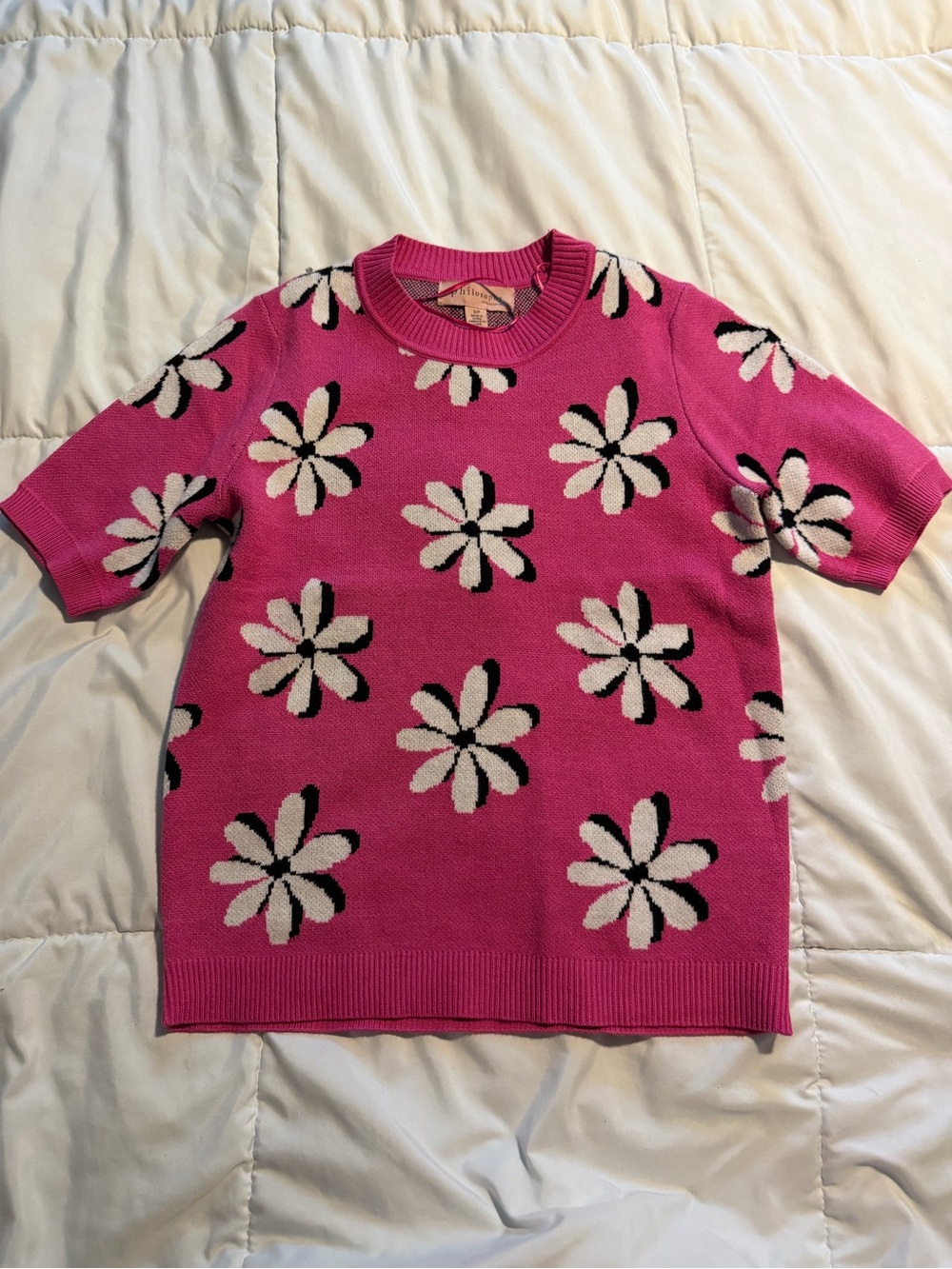 Philosophy Hot Pink Daisy Knit Short Sleeve Sweater